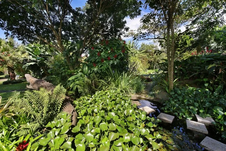 galeria_jardines_helechos-7bd51684d7.jpg