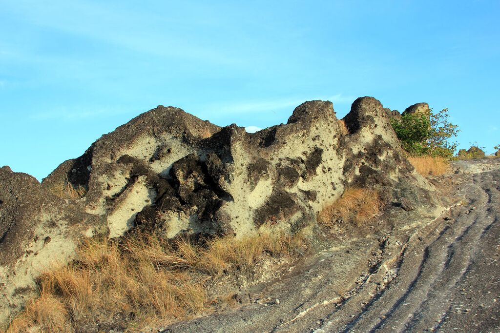 Costa rican Hiking.jpg