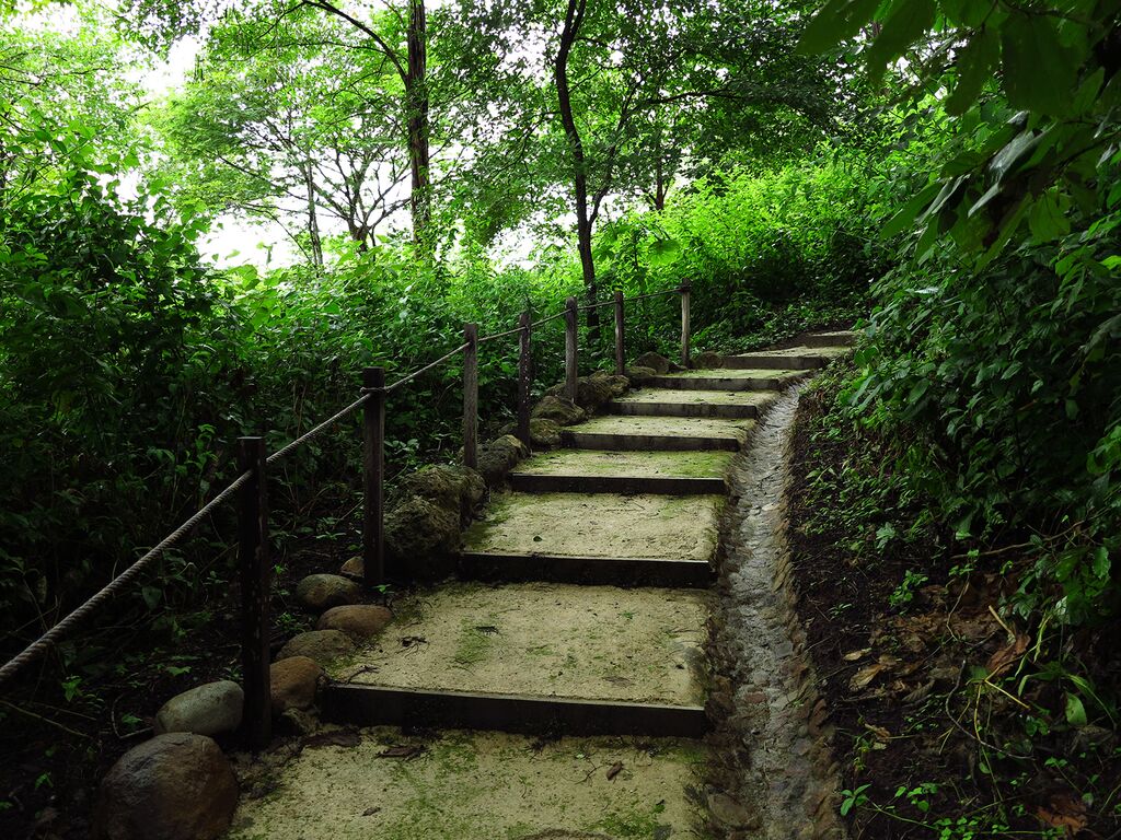 Hike at Costa Rican Trip.jpg