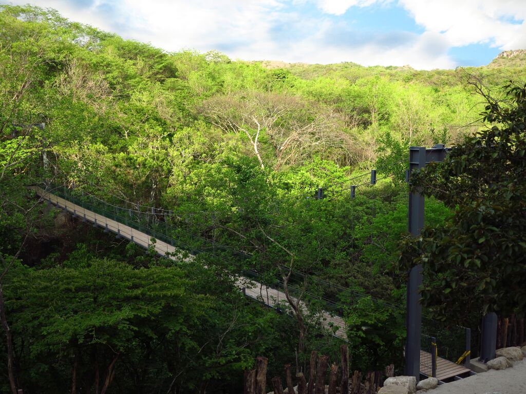 Hike Costa Rica.jpg