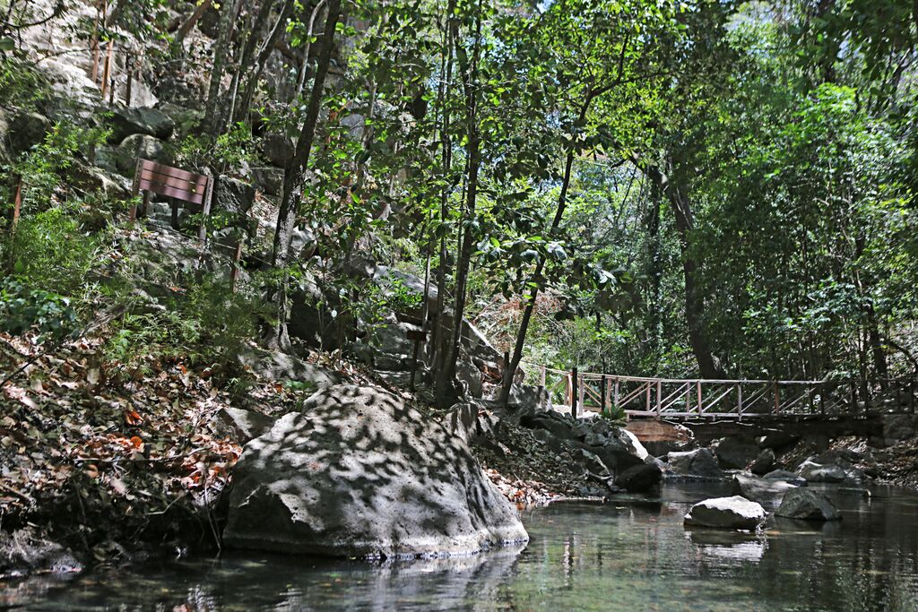 Hiking Trials in Costa RIca.jpg