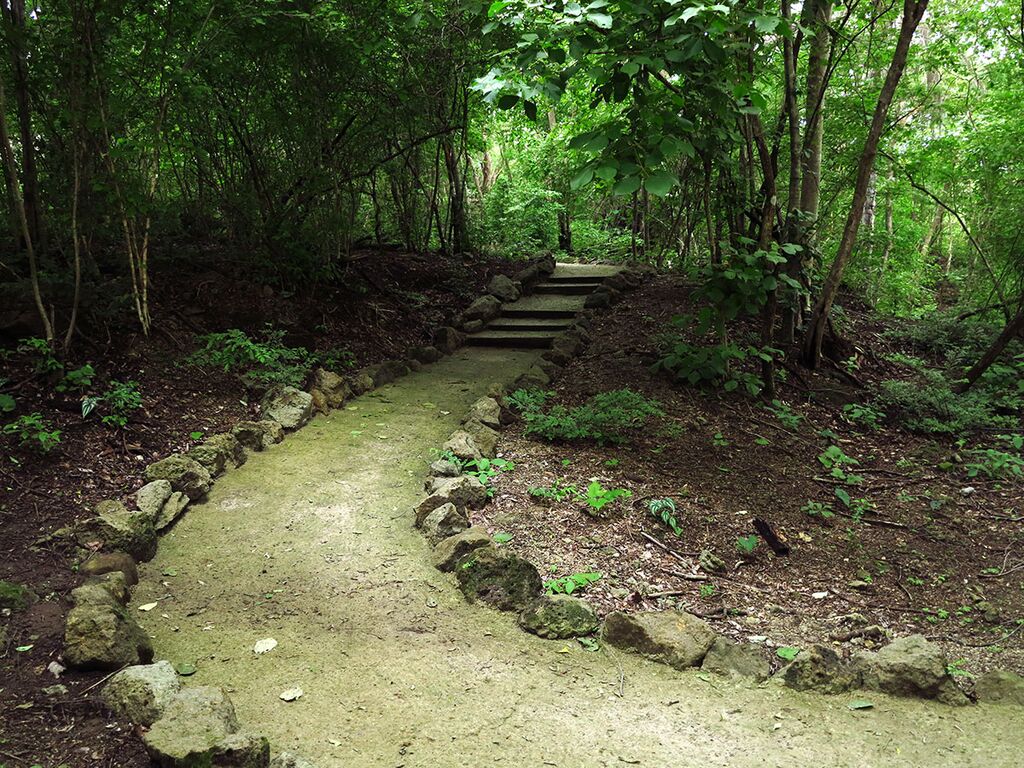 Tail hiking in Costa Rica.jpg