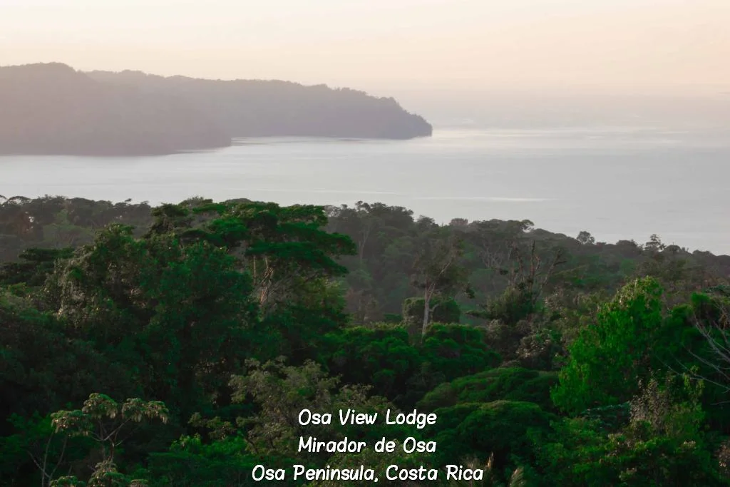 osaviewlodge12.jpg