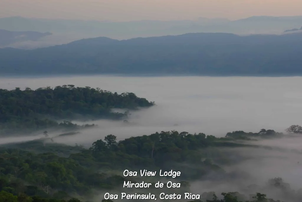 osaviewlodge575.jpg