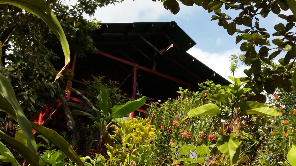 eco-bungalow003.jpg