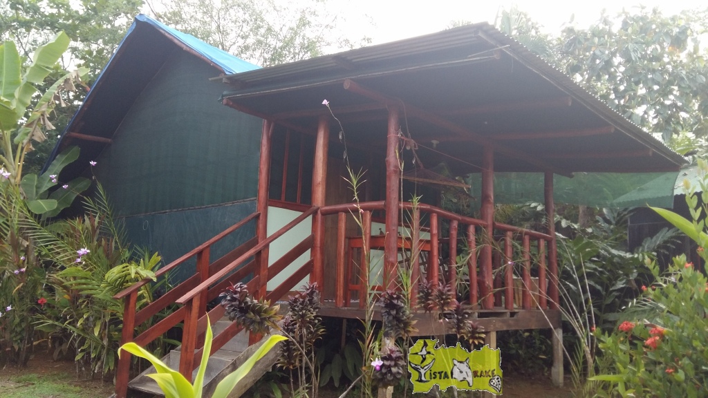 green bungalow002.jpg