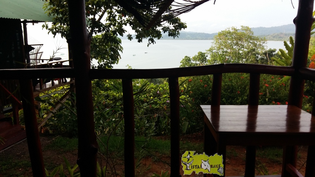 green bungalow003.jpg