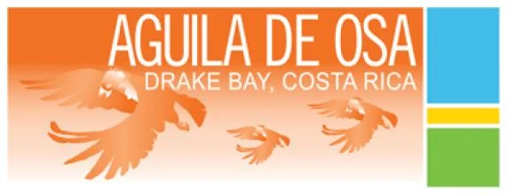 Aguila de osa.jpg