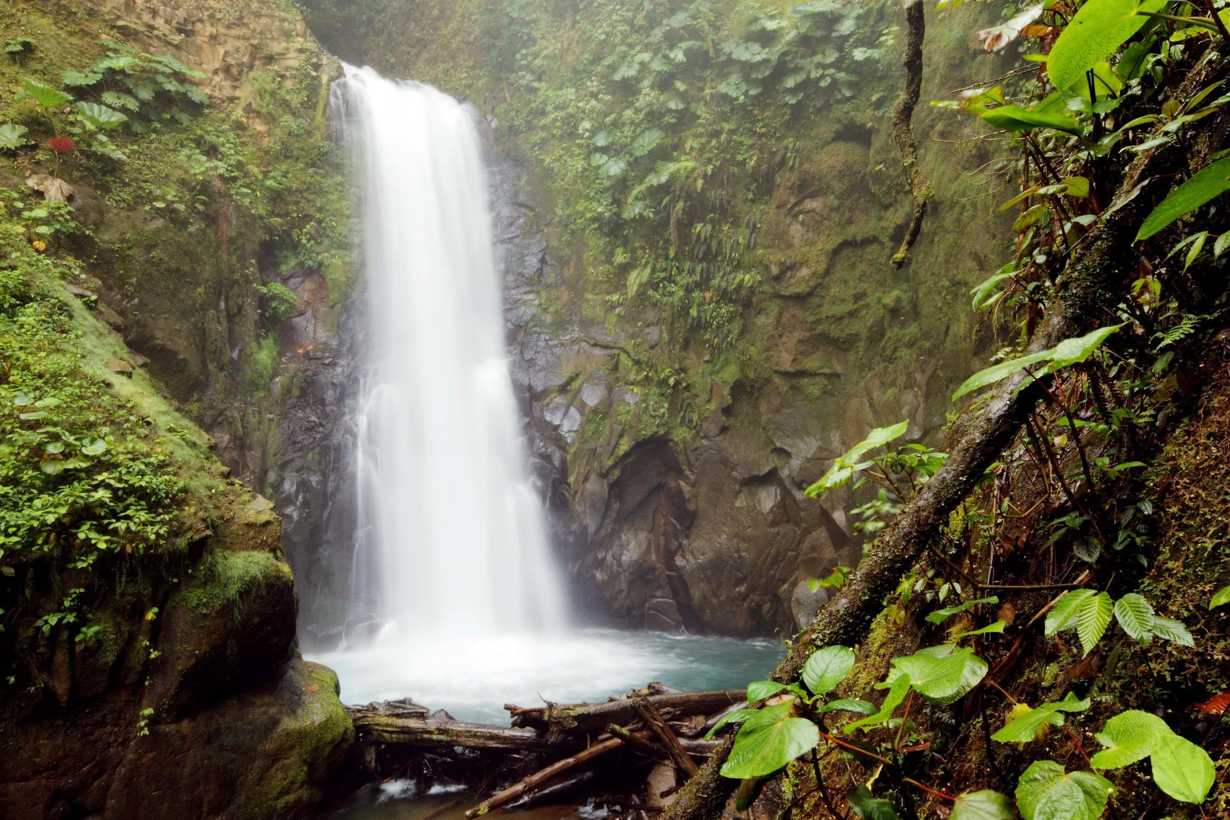 waterfall-gardens-15.jpg