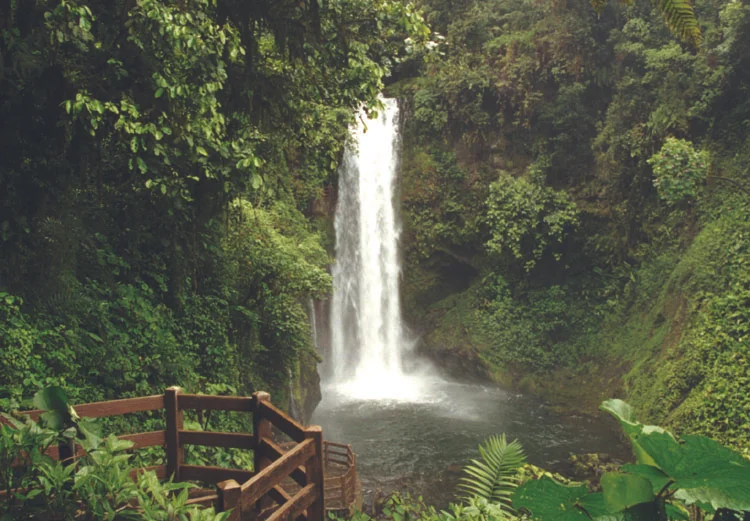 waterfall-gardens-069.jpg