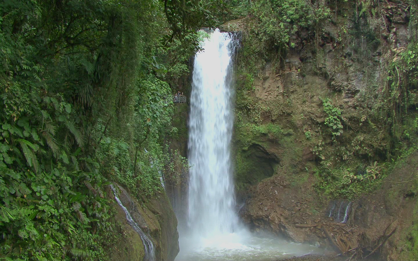 waterfall-gardens-071.jpg