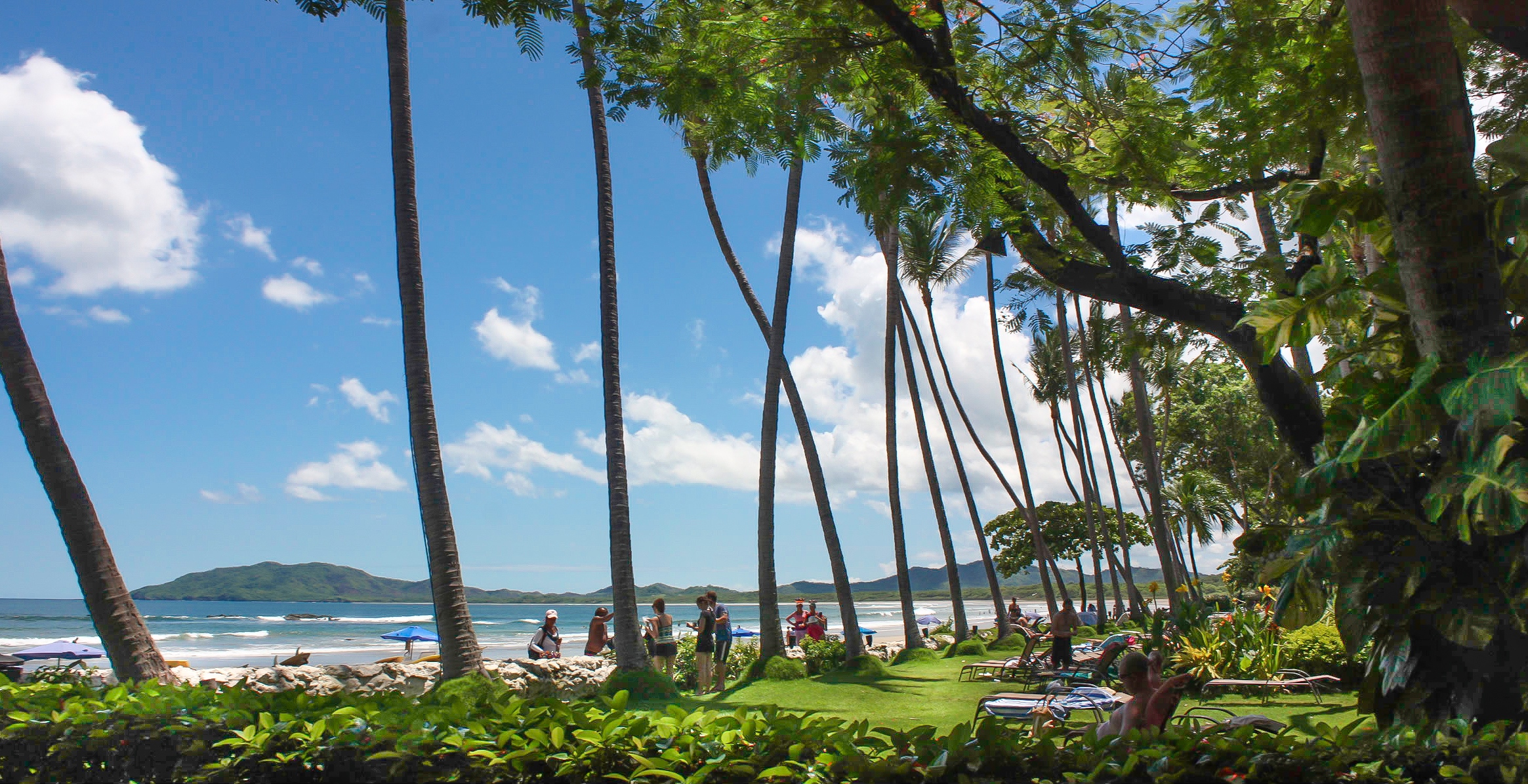 Tamarindo-Diria-01.jpg