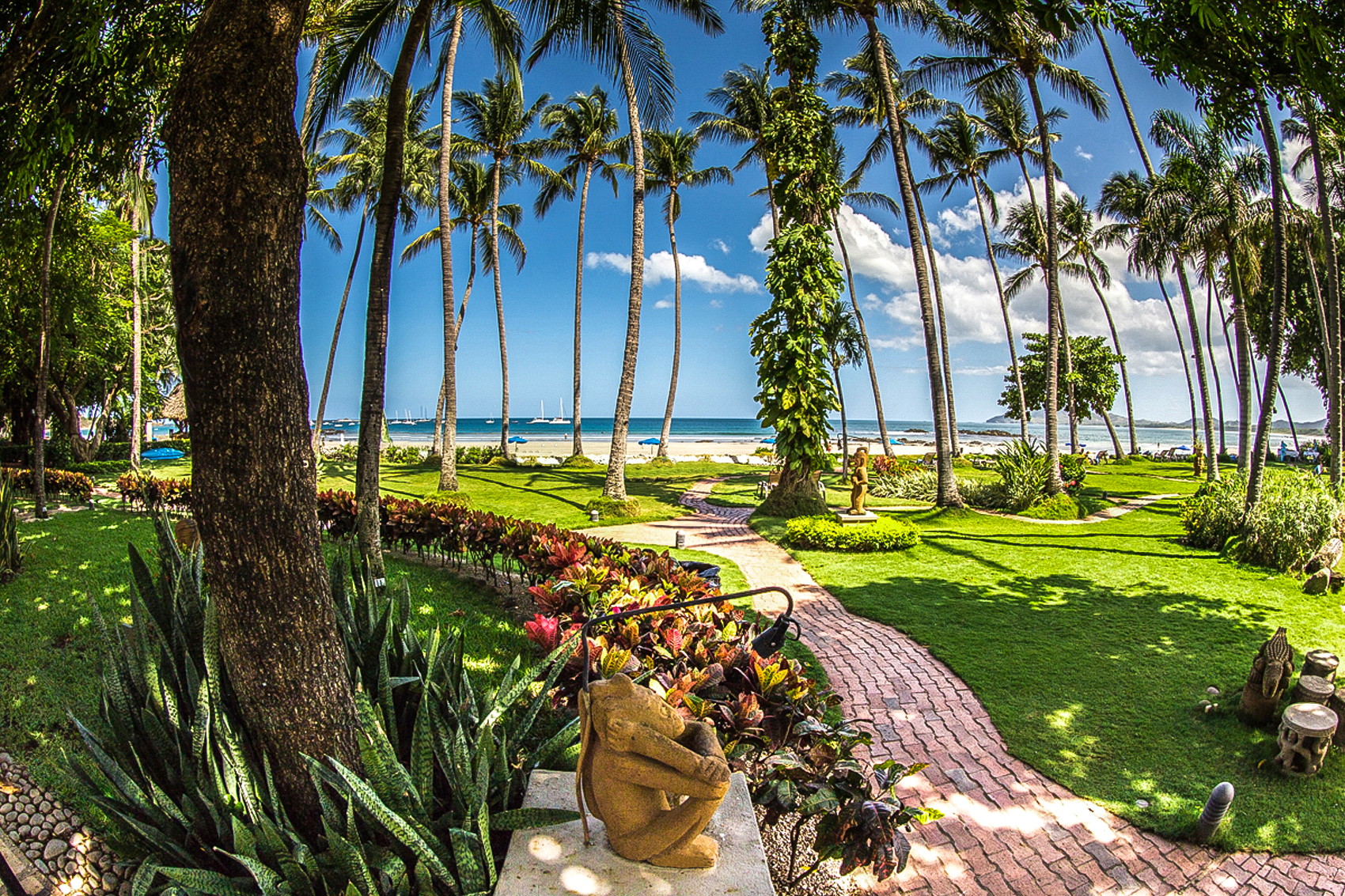 tamarindo-diria-beach-garden-01.jpg