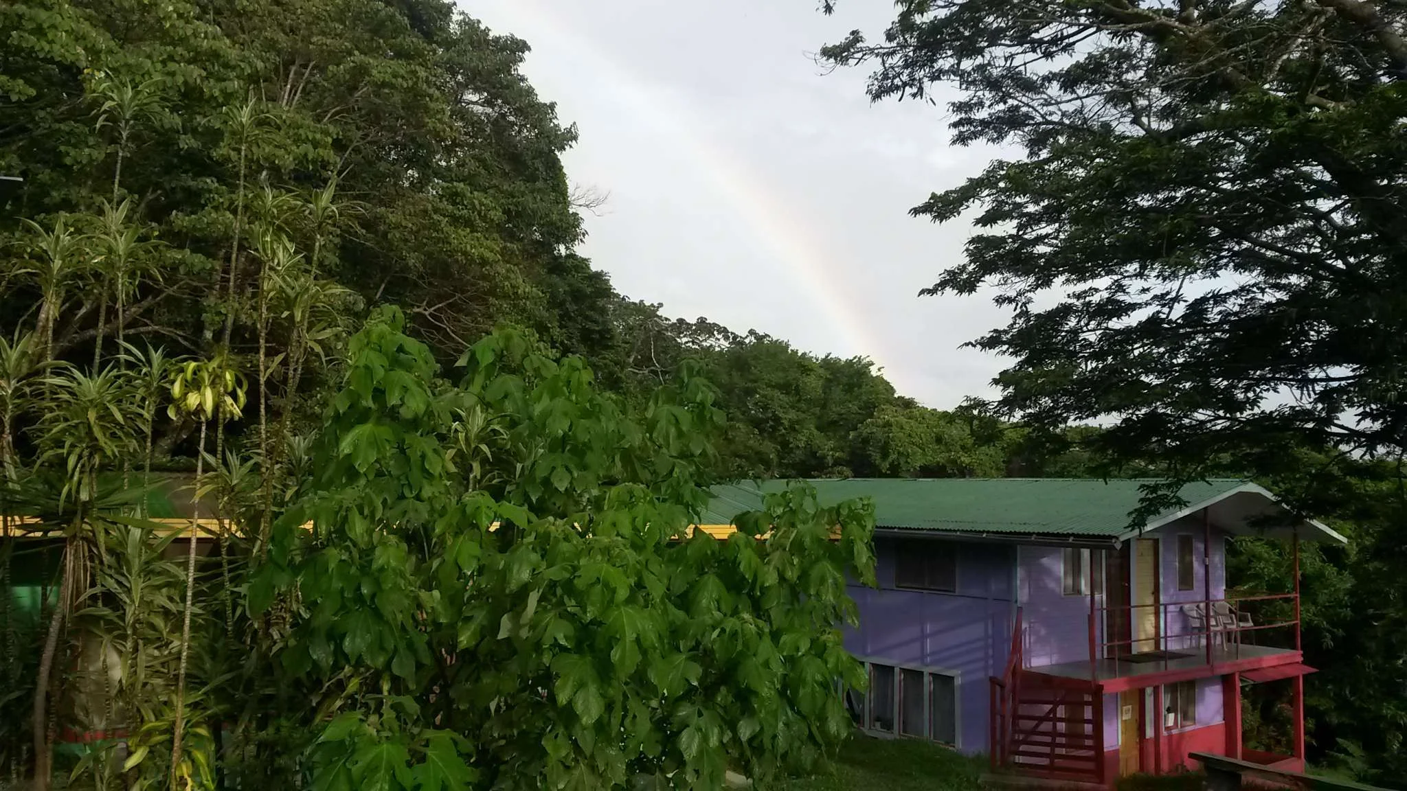 galeria-monteverde-02.jpg
