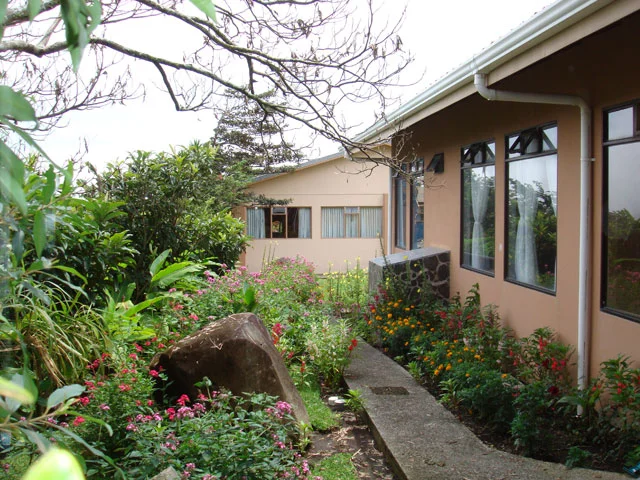 11_orquideasmonteverdecostarica.jpg