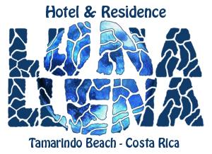 logo_lunallena_full.png