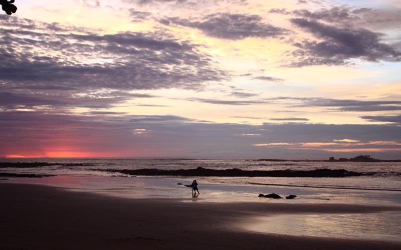 Sunset1.jpg
