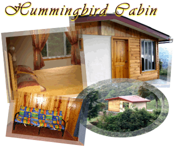 hummingbirdcabin.gif