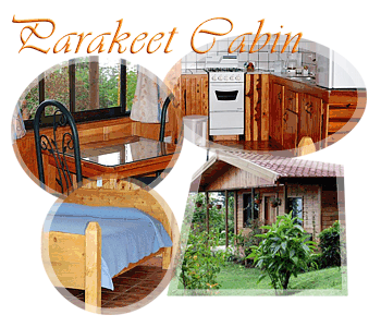 parakeetcabin.gif
