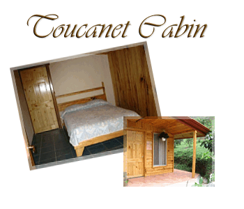 toucanet cabin.gif