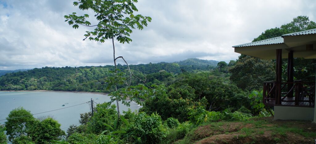 view.jpg