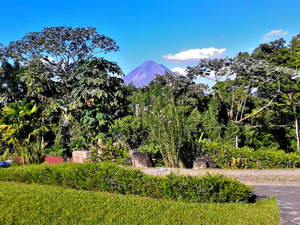 NEPENTHE B&B volcano.png