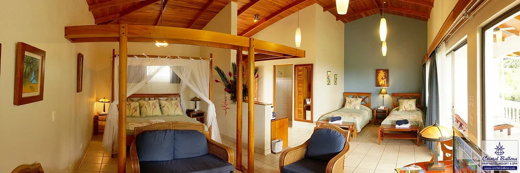 rooms hotelcristalballena.jpg