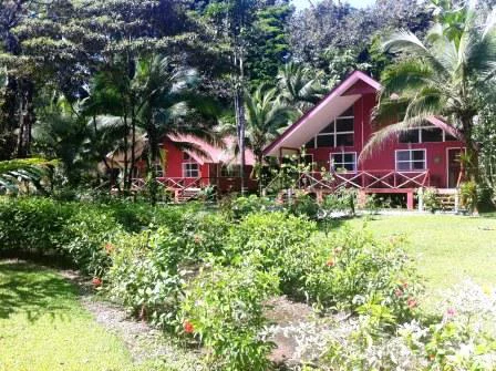 caribbeanparadisehotel.jpg