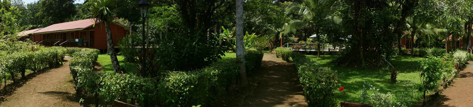 caribbeanparadisehotel1.jpg