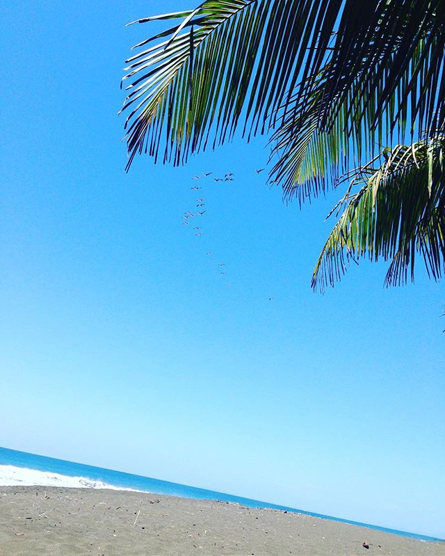 Enjoy the summer in Costa Rica 🇨🇷 #beach #nature #visitcostarica #summertime #beautiful #costaricantrip www.costaricantrip.com