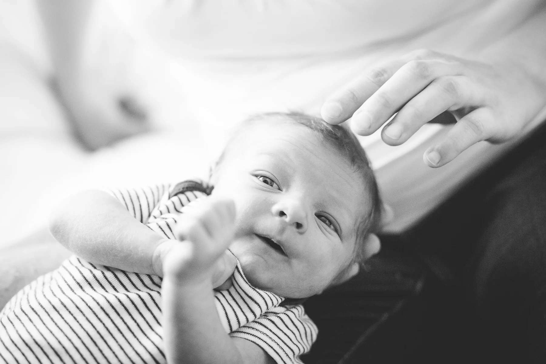 albuquerque lifestyle newborn photography