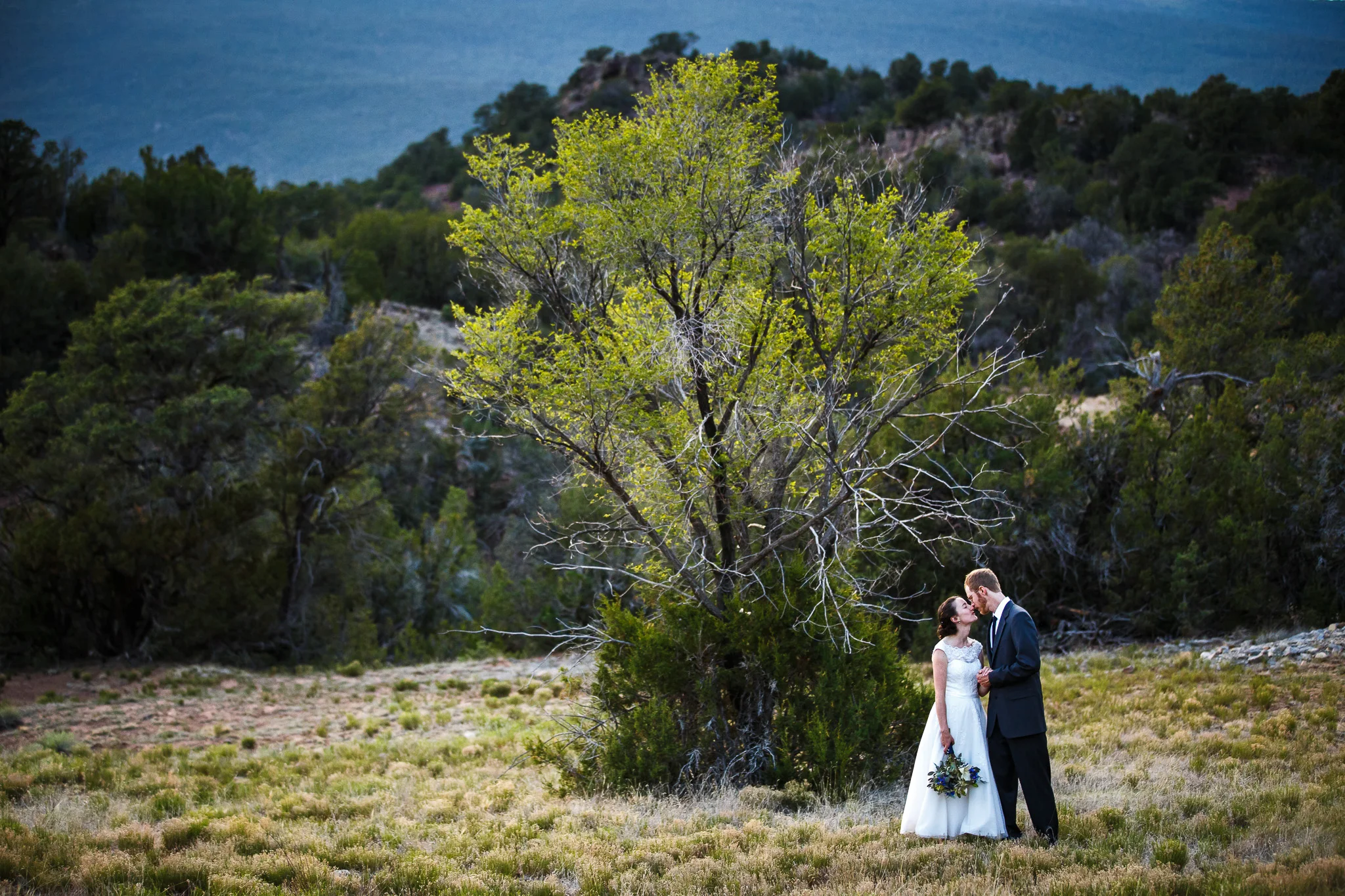 wedding-albuquerque-tijeras-ywca-pinon-canyon-center-0554.jpg