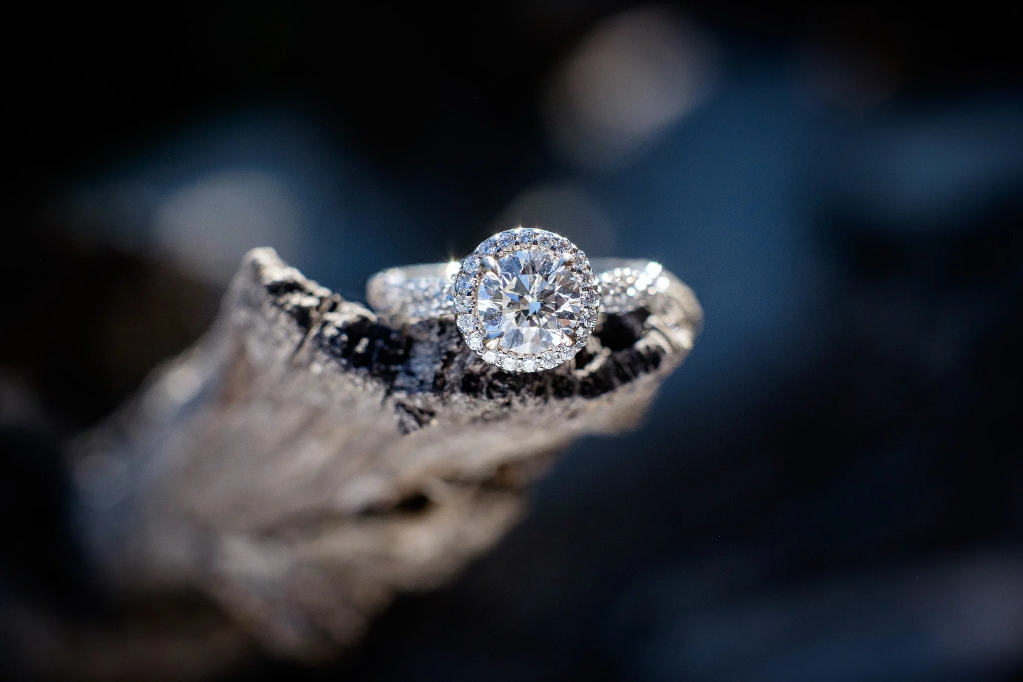 engagement-albuquerque-foothills-0153.jpg