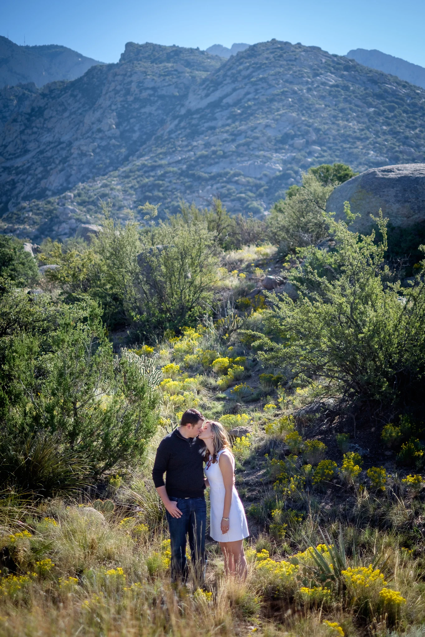 engagement-albuquerque-foothills-0156.jpg