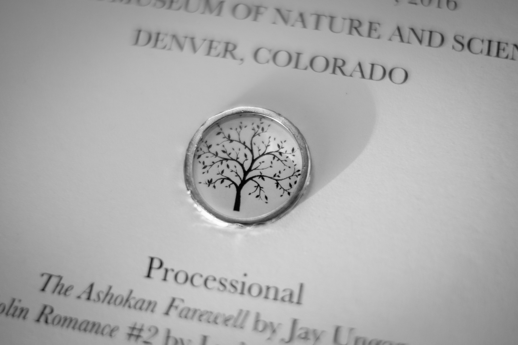 wedding-denver-museum-of-nature-science-0488.jpg