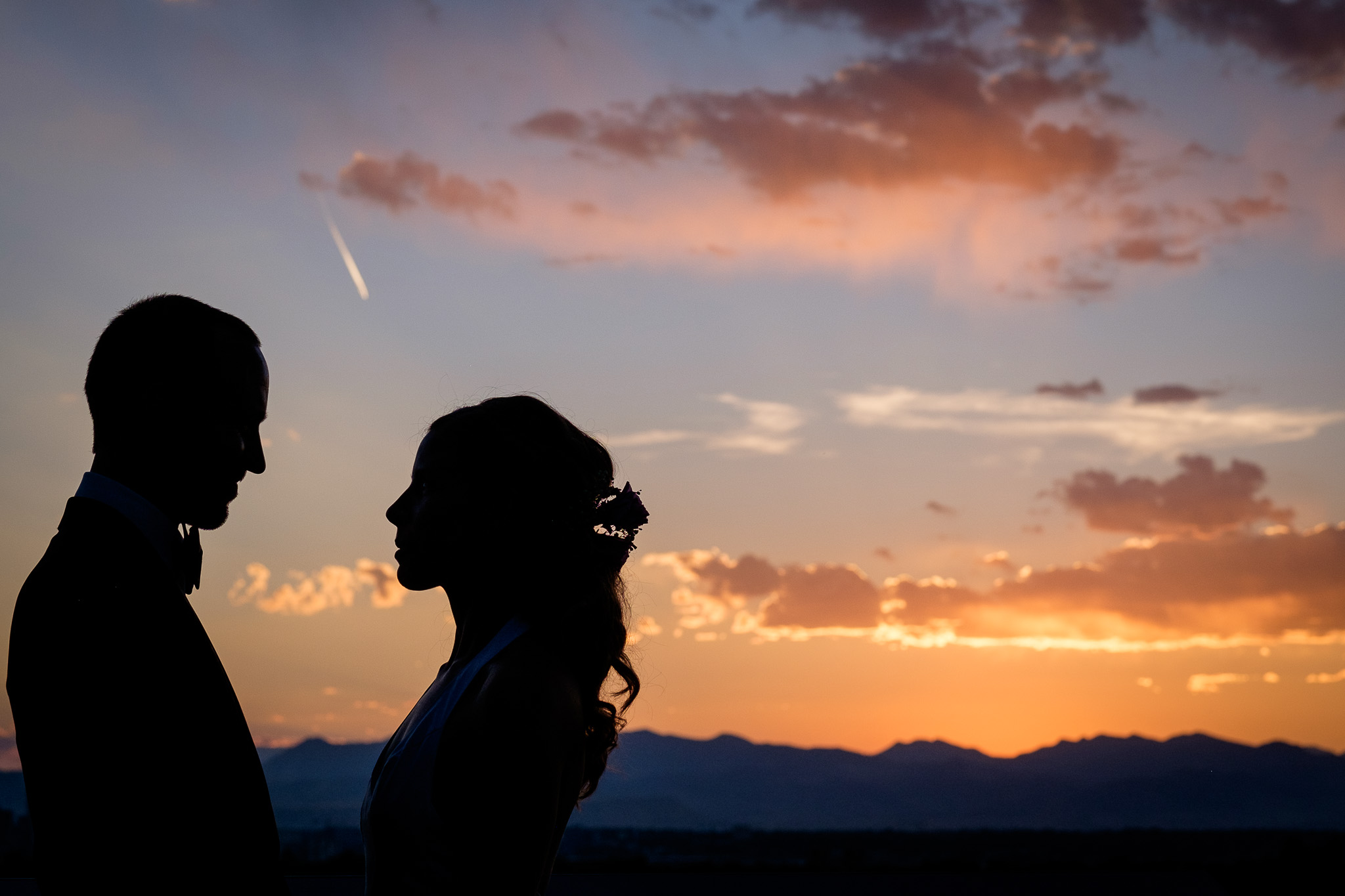 wedding-denver-museum-of-nature-science-0540.jpg