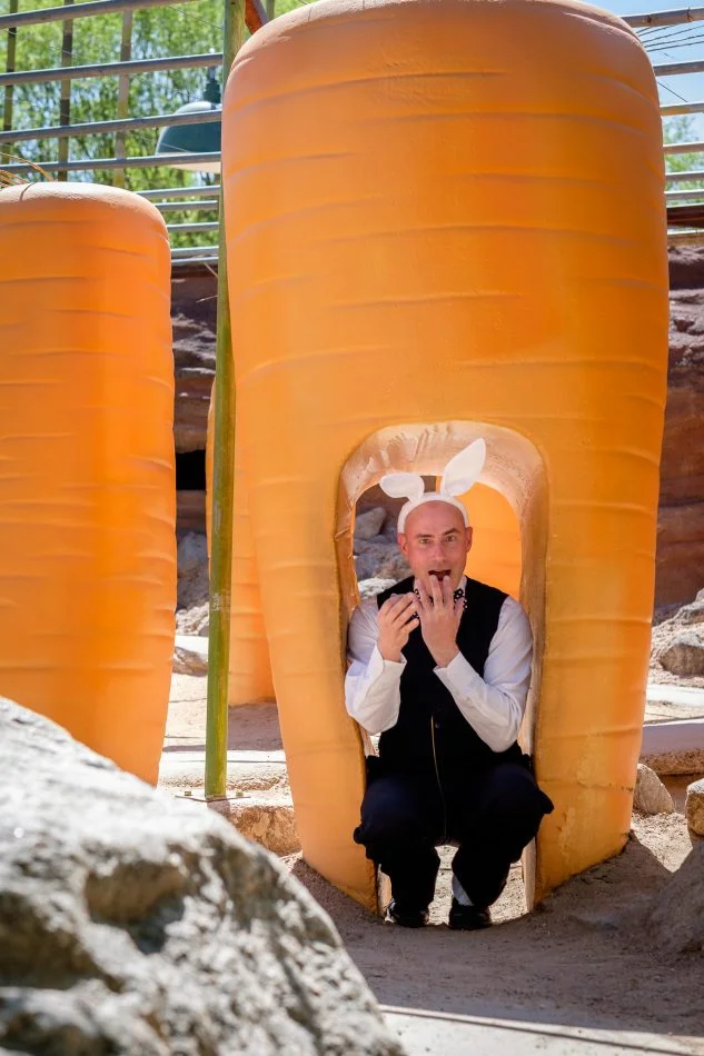 white rabbit in giant carrot