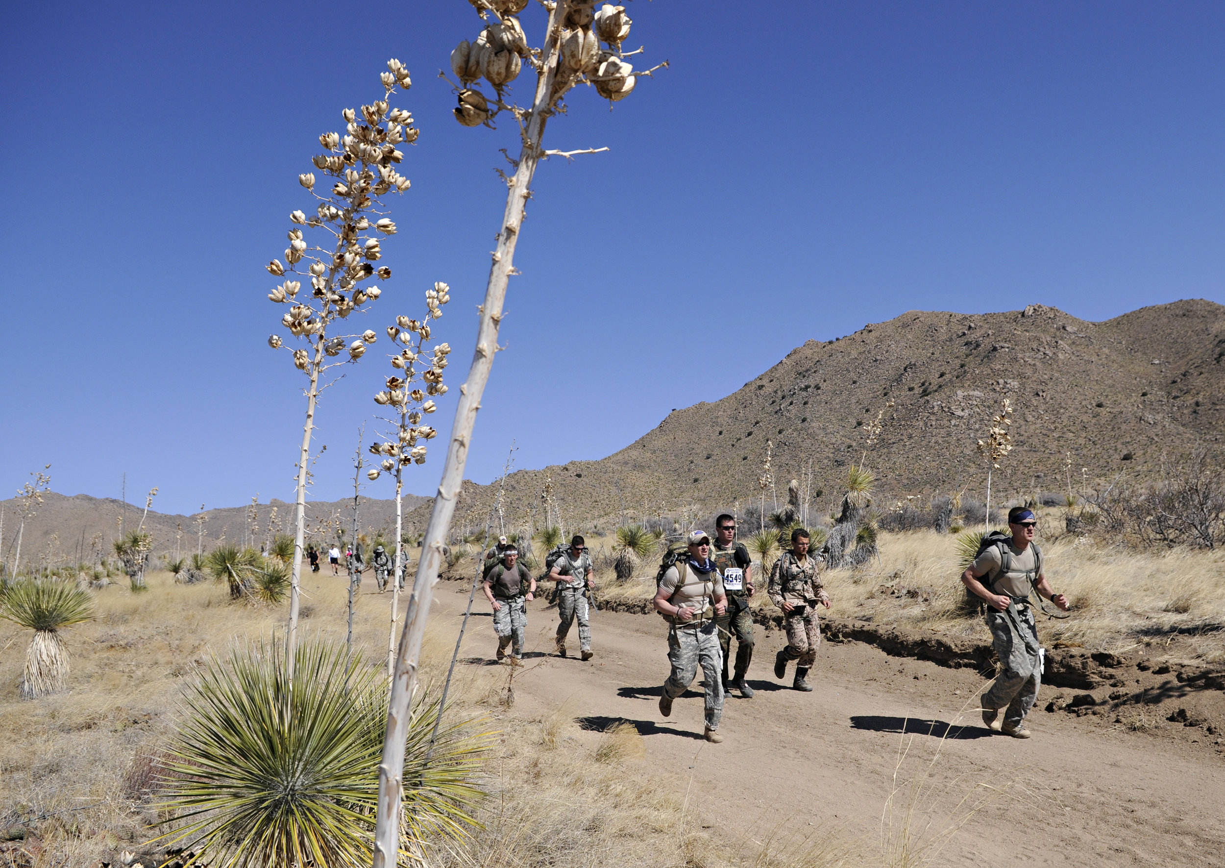  Runners pass by tall yuccas during the 22nd Annual Bataan Memorial Death March at White Sands Missile Range, Sunday, March 27, 2011. (Morgan Petroski/Albuquerque Journal) 