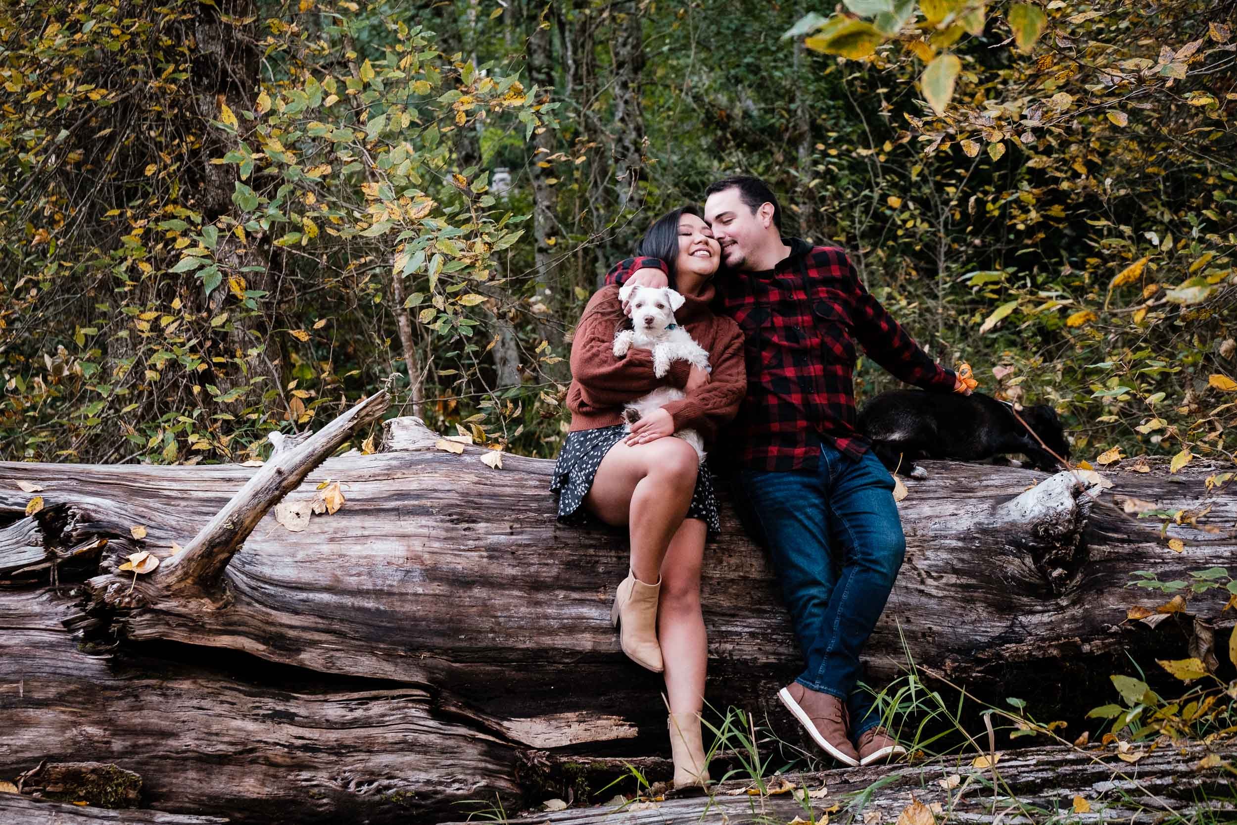fall_family_session_dogs-6385.jpg