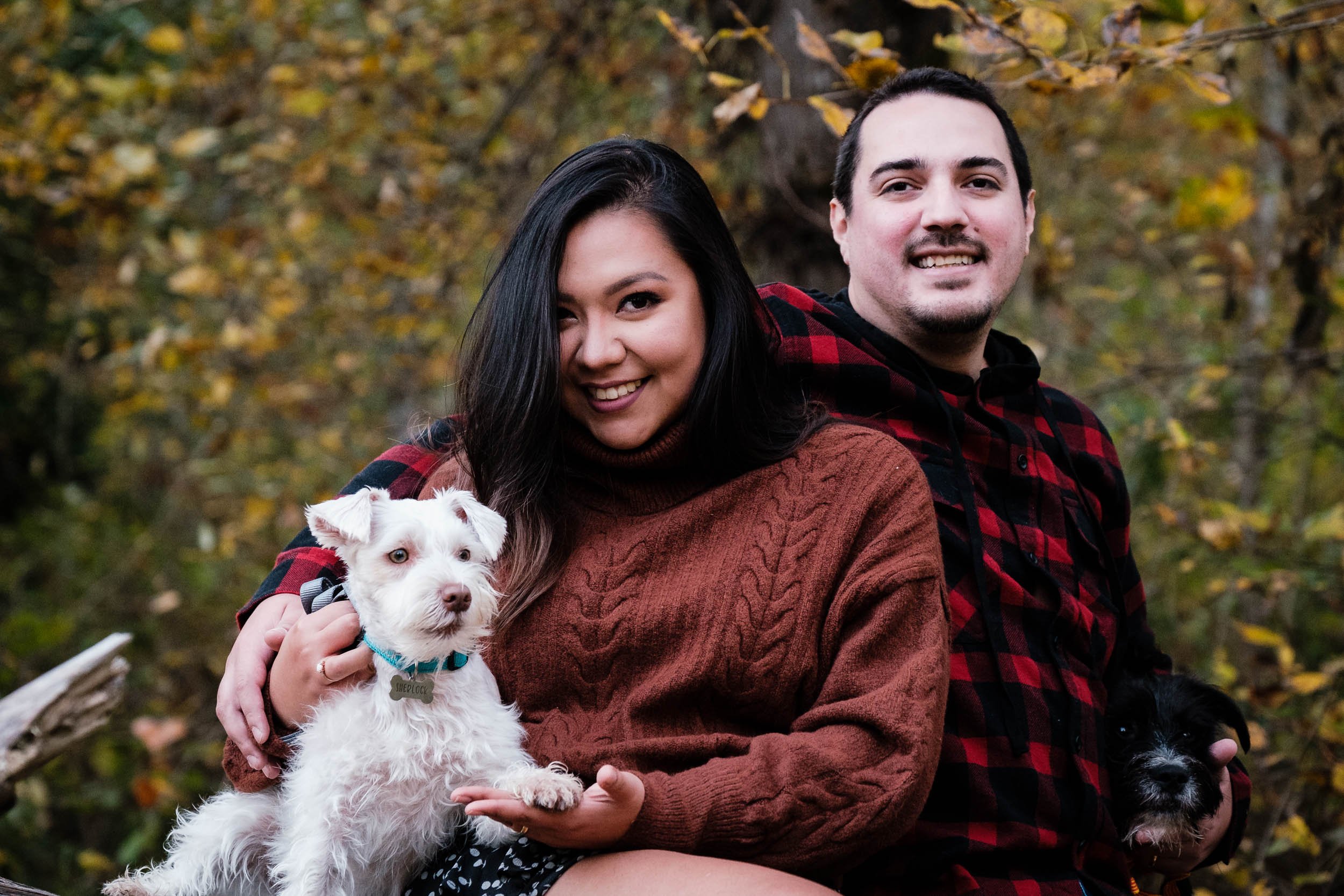 fall_family_session_dogs-6501.jpg