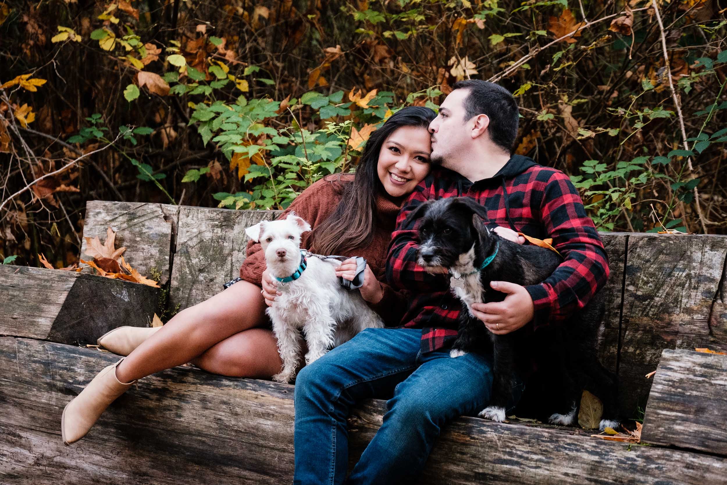 fall_family_session_dogs-6553.jpg