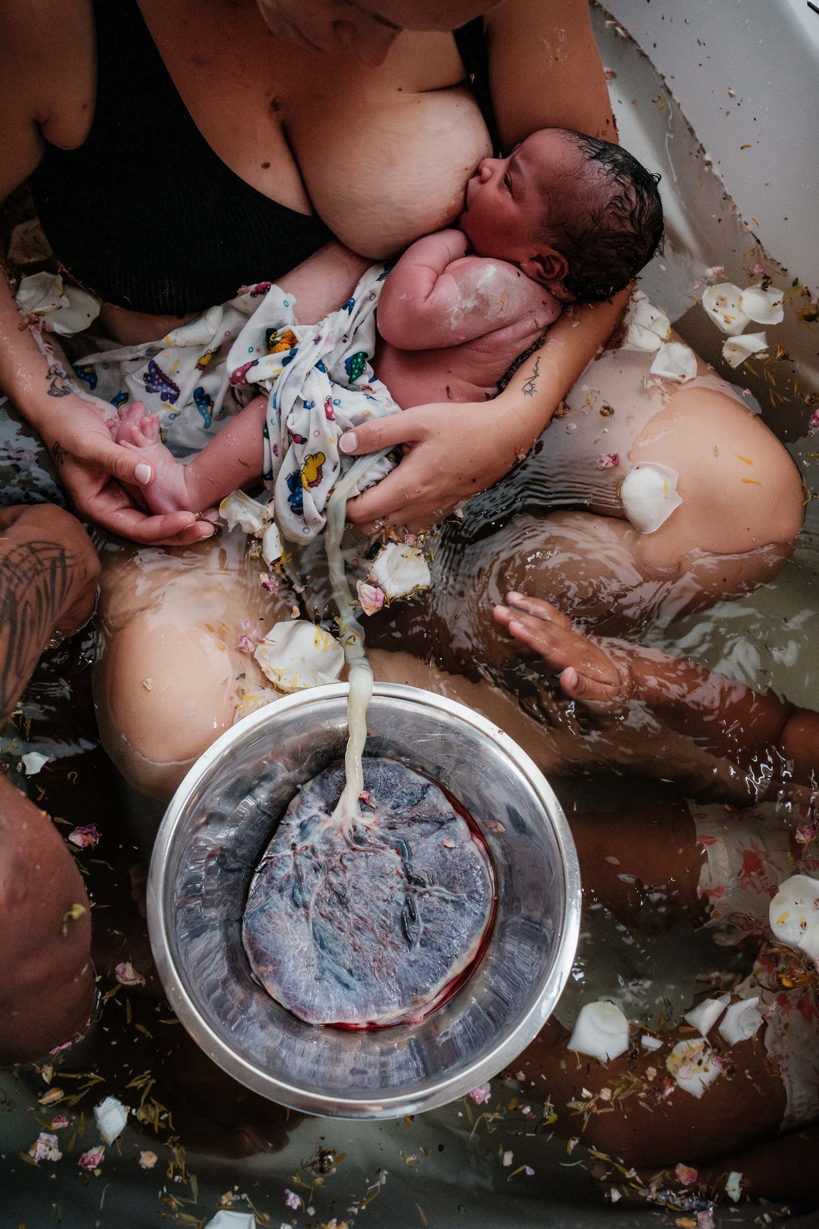 Newborn baby nurses while in a herbal bath with her mother while her placenta is still attached for delayed cord cutting.