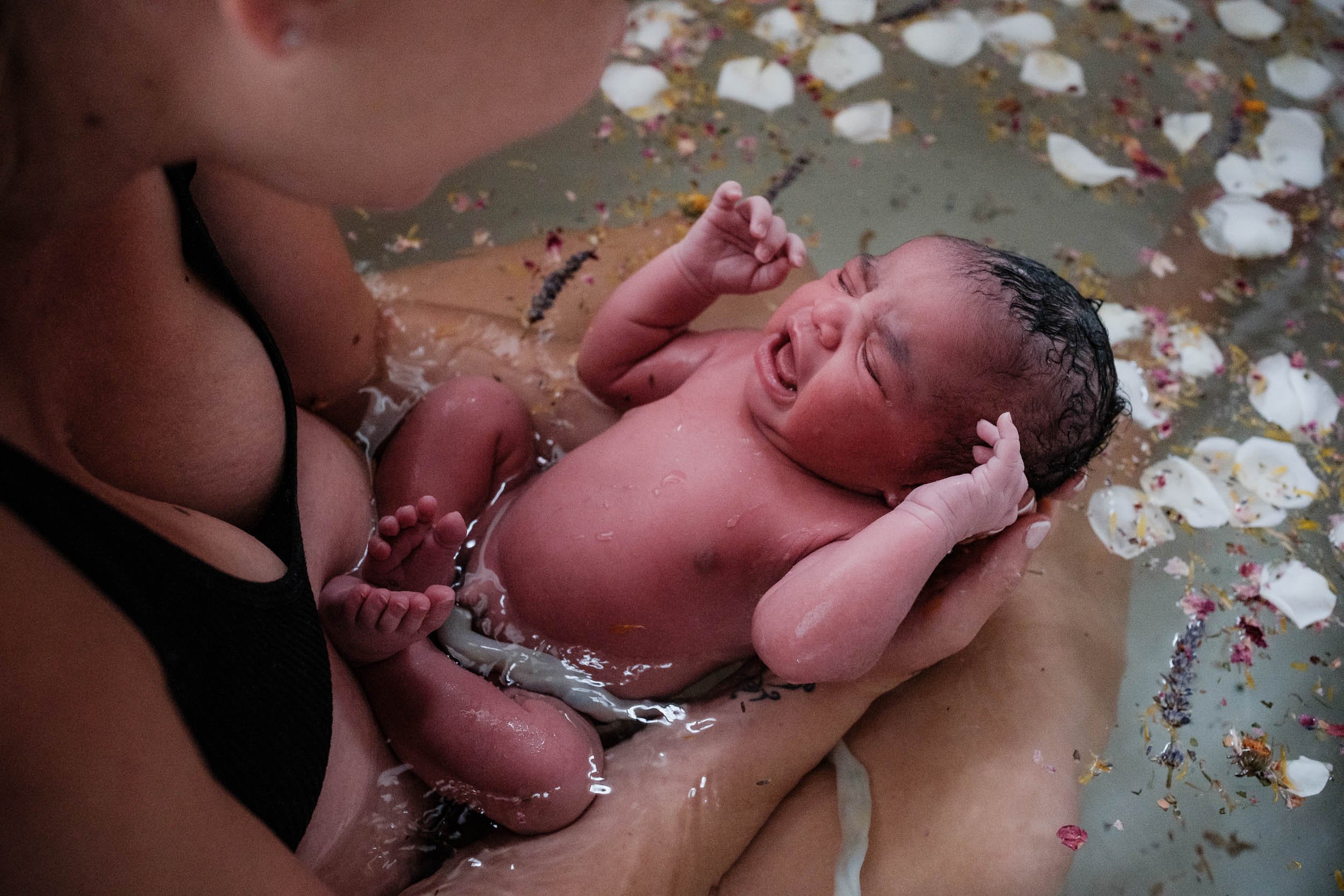 A newborn baby cries during an herbal bath after birth. Herbs and flower petals float around her in the tub.