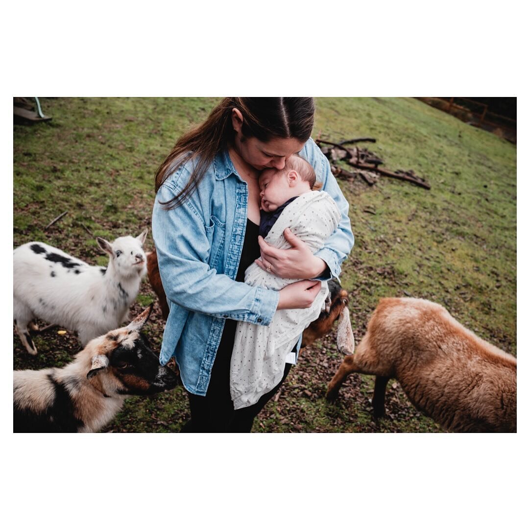 Newborn Session &amp; Pet Goats 👶🏻🐐💚

When I say I always consider pets part of the family and welcome them in your session&hellip; I mean it. I&rsquo;ll gladly meet and mingle with your goats so they can be documented too.

Growing up on a horse