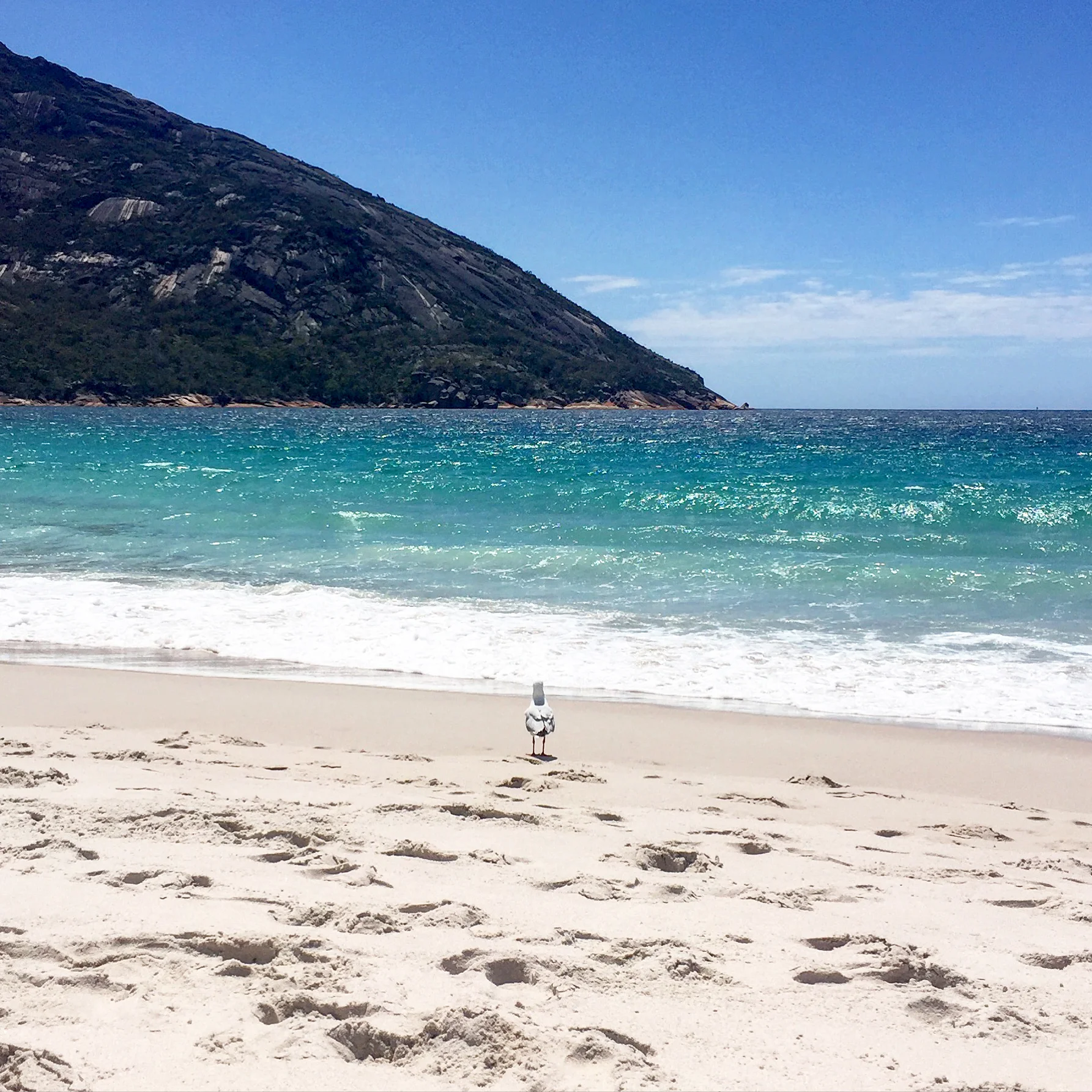 Wine Glass Bay, Tasmania