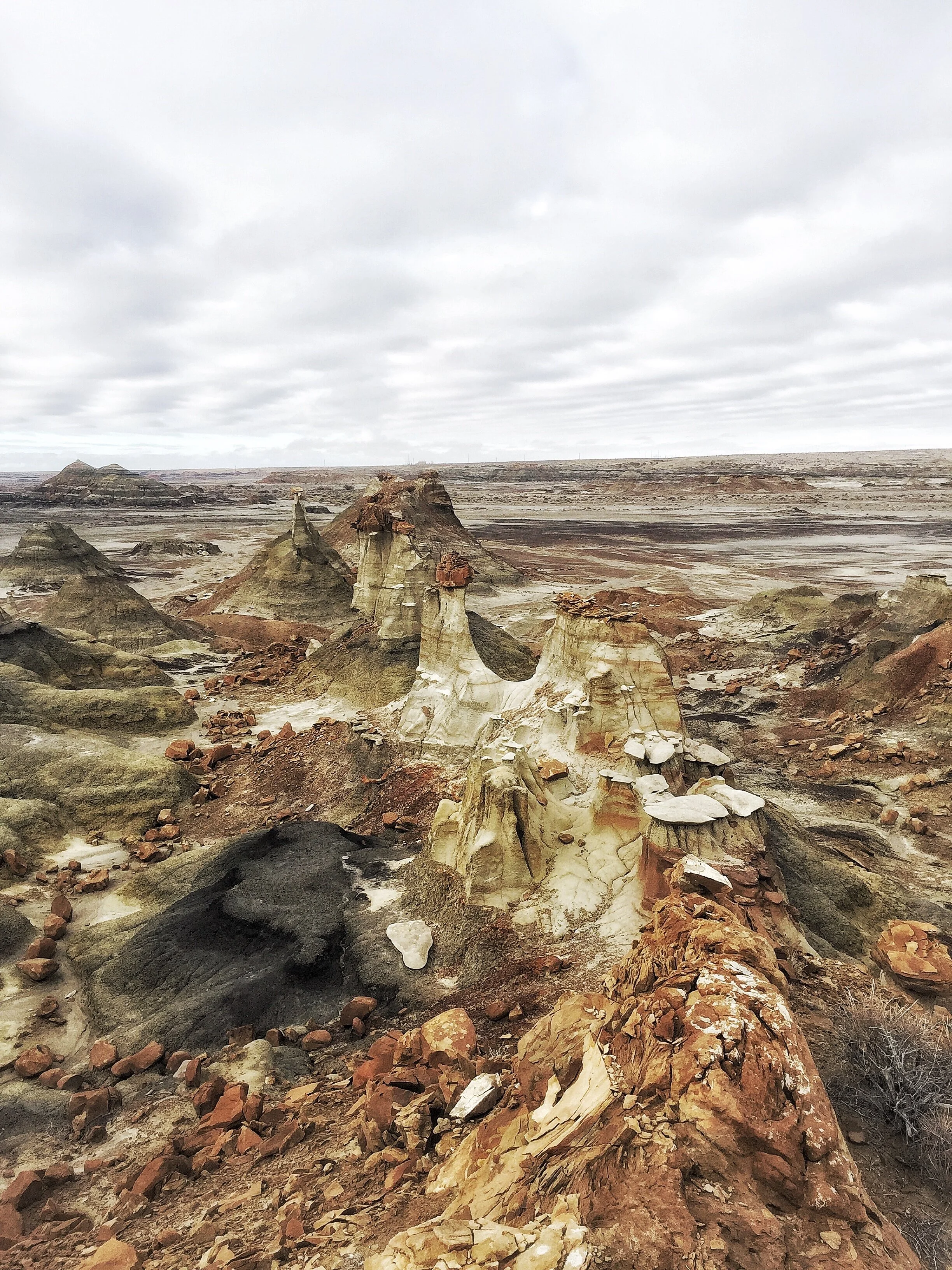 Bisti Badlands, New Mexico