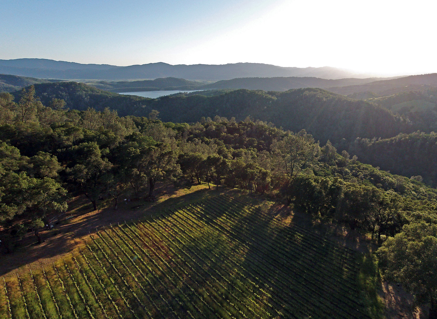  Beautiful view west from our Hennessey Ridge vineyard 