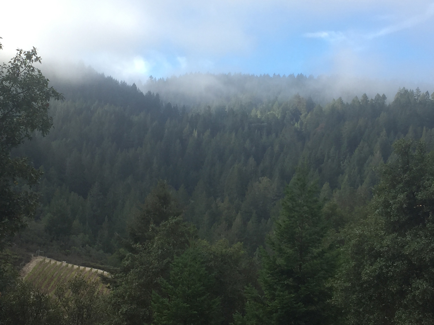  View from the top of Diamond Mountain 