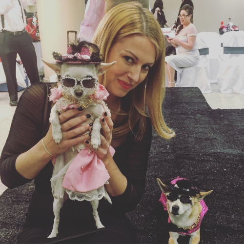 Sarah hosted designer Kevin Ugarte's fashion gala for "The Dog Show," one of New York City's primary non-profitorganizations for animals. Watch the video below to see some of the cute and crazy creations displayed on the runway!