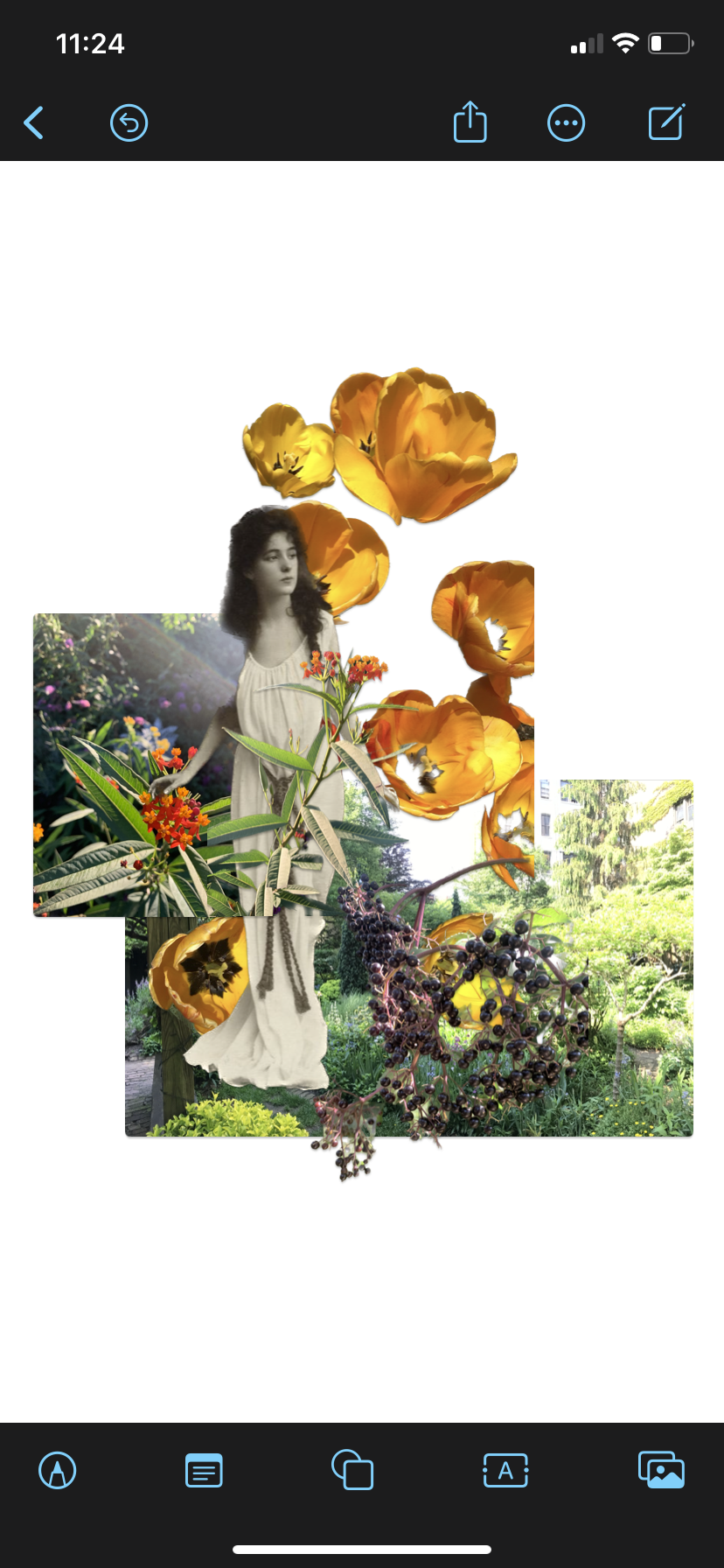 IMG_7336.png